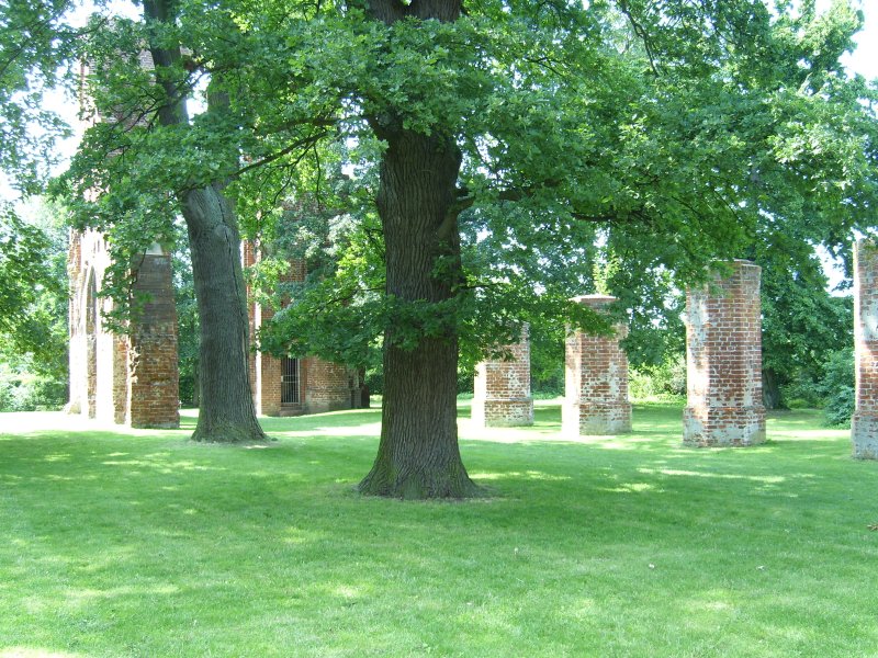 Klosterruine Eldena