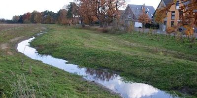 Knisterbach