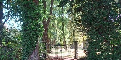 Neuer Jüdischer Friedhof
