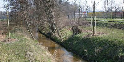 Reinkebach-Schlangenbach-Welplagebach