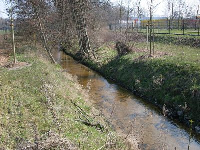 Reinkebach-Schlangenbach-Welplagebach