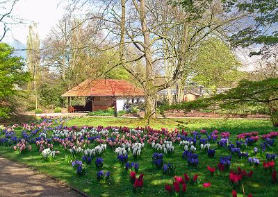 Stadtpark