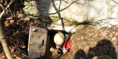 Blätterhöhle