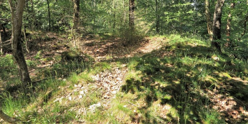 Franzosenschanze