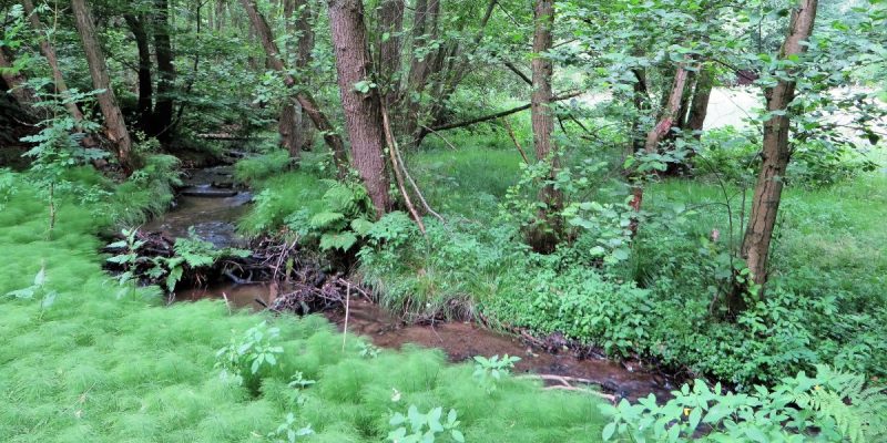 Funckenhauser Bachtal