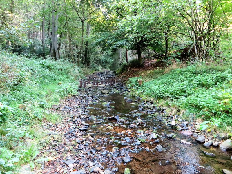 Hasper Bach