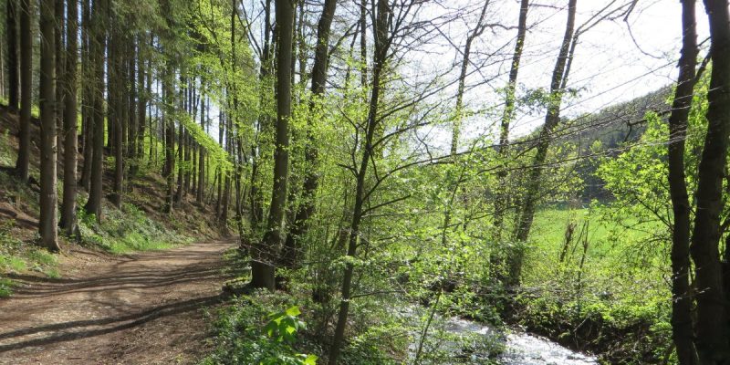 Holthauser Bachtal