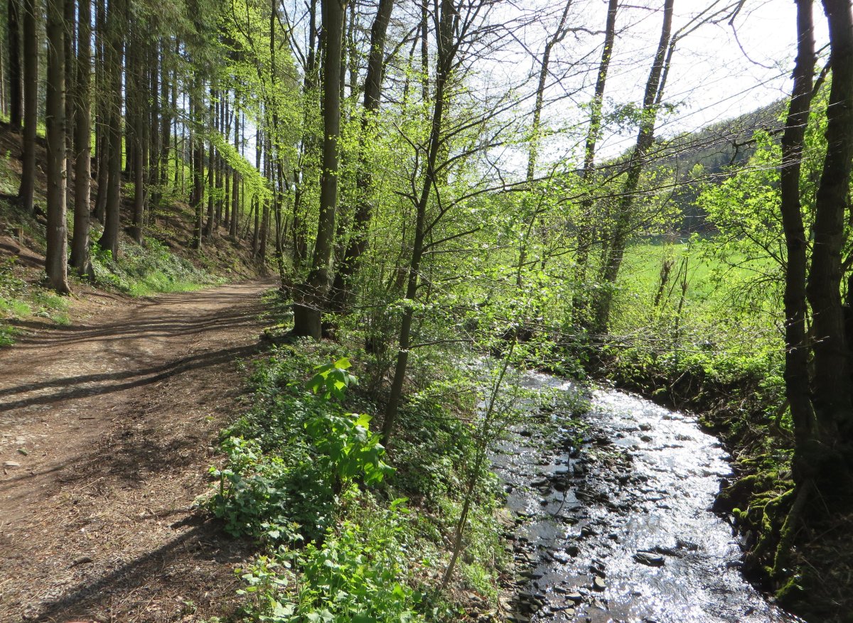 Holthauser Bachtal