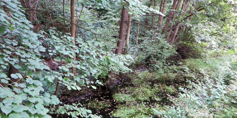 Mastberg und Weissenstein