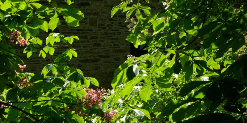 Museum für Ur- und Frühgeschichte