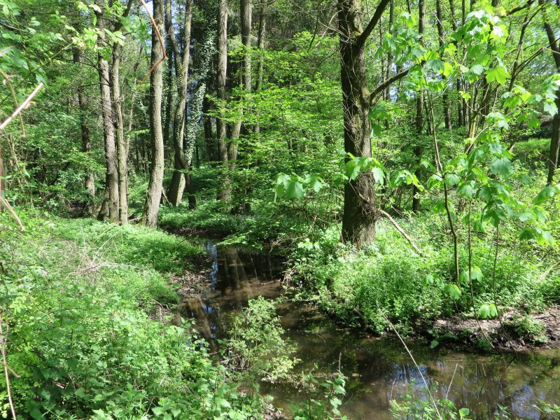 Naturschutzgebiet Henkhauser- und Hasselbachtal
