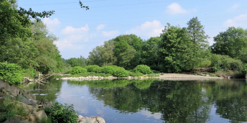 Naturschutzgebiet Lenneaue Kabel