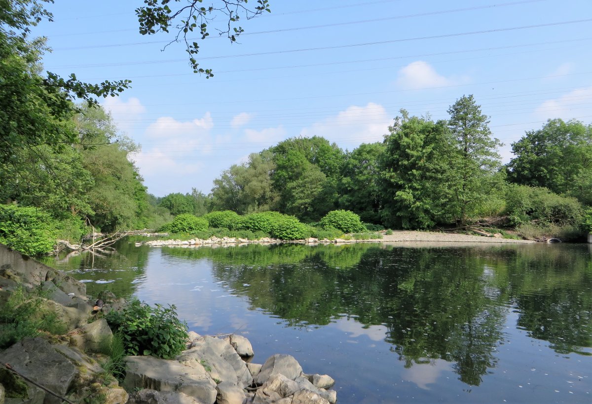 Naturschutzgebiet Lenneaue Kabel