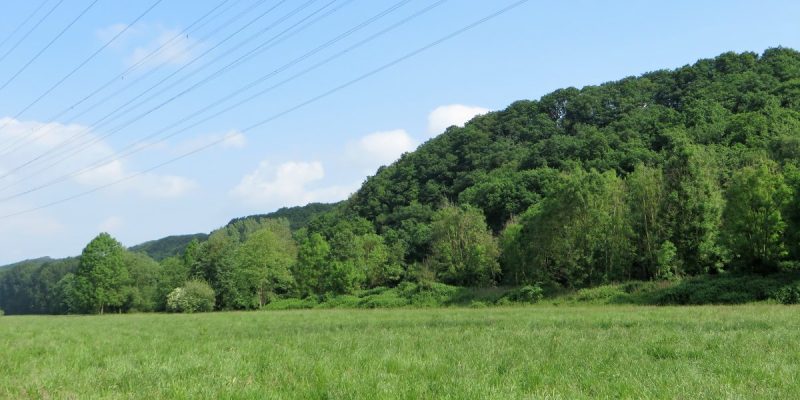 Naturschutzgebiet Lennesteilhang Garenfeld