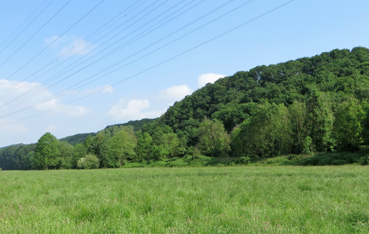 Naturschutzgebiet Lennesteilhang Garenfeld