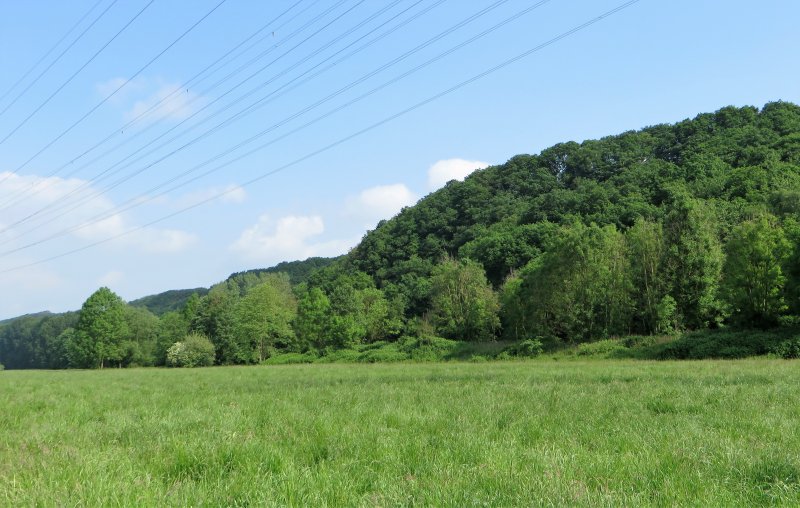 Naturschutzgebiet Lennesteilhang Garenfeld