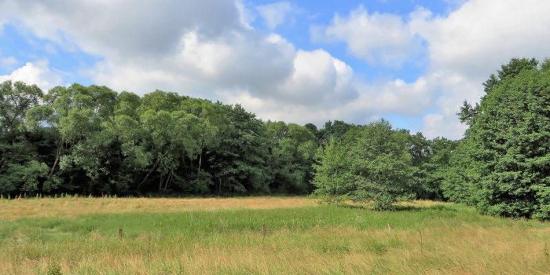 Naturschutzgebiet Oberes Wannebachtal