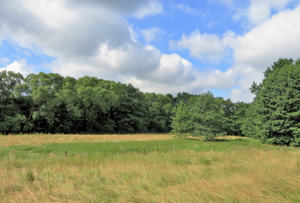 Naturschutzgebiet Oberes Wannebachtal