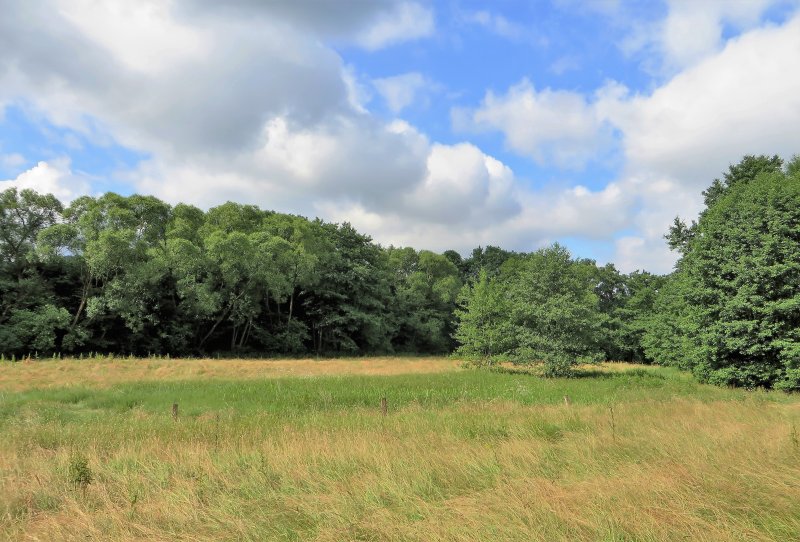 Naturschutzgebiet Oberes Wannebachtal