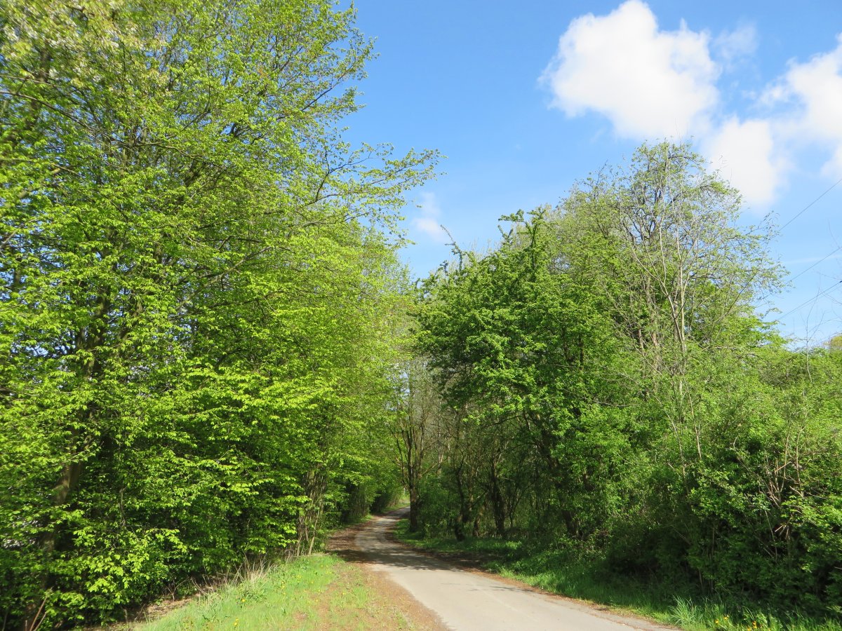 Ochsenkamp