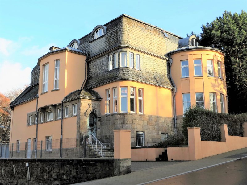 Villa Springmann