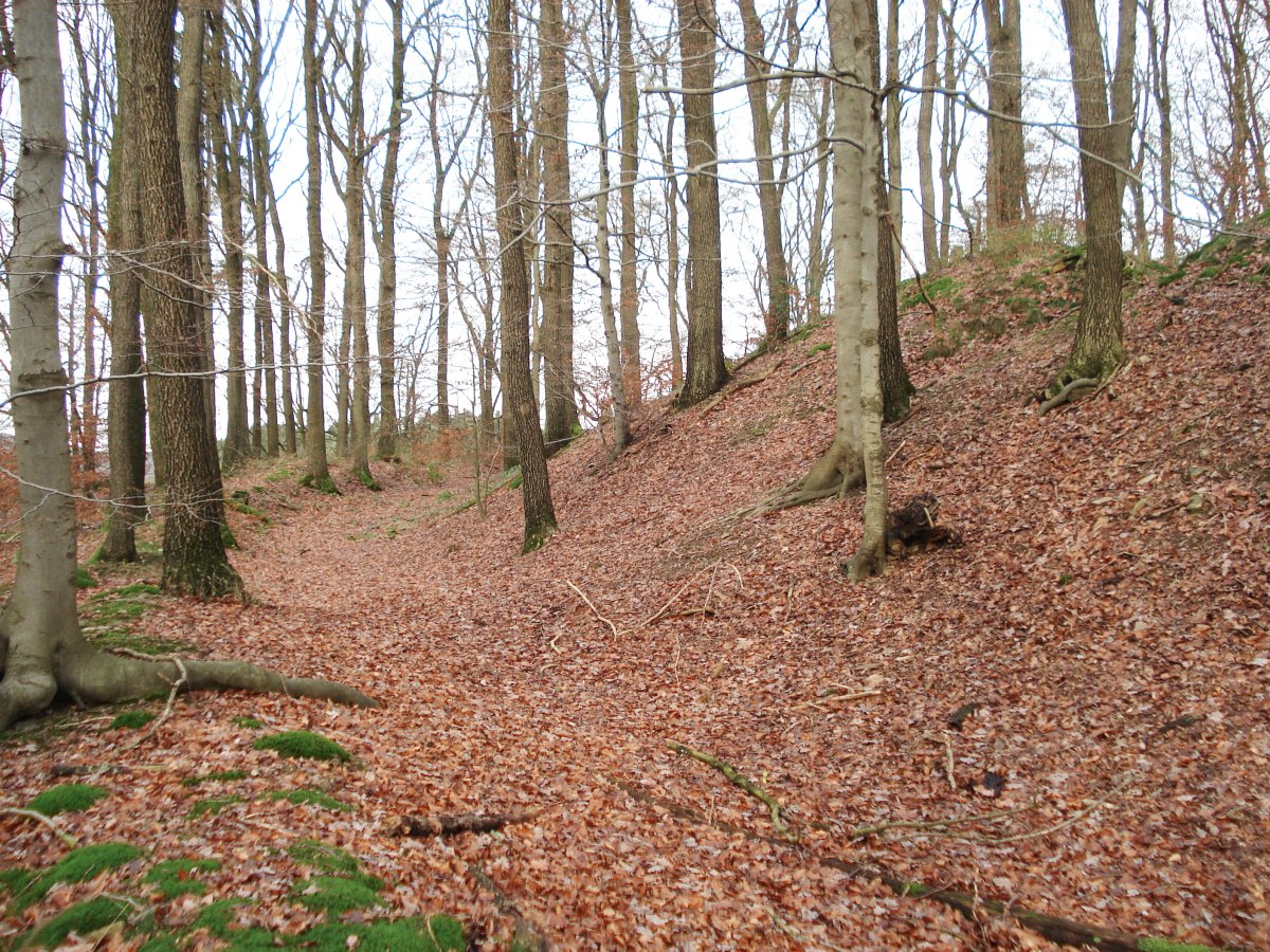 Wallburg Ambrock