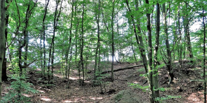 Wallburg Sieben Gräben