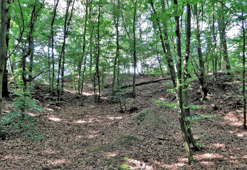 Wallburg Sieben Gräben