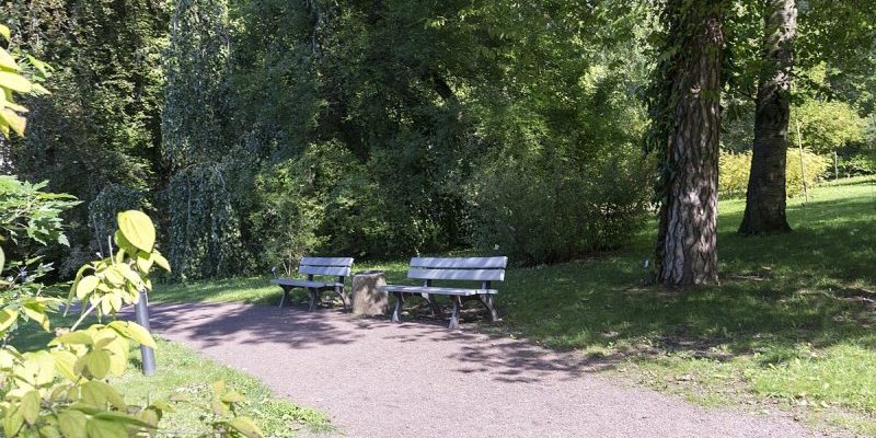 Botanischer Garten