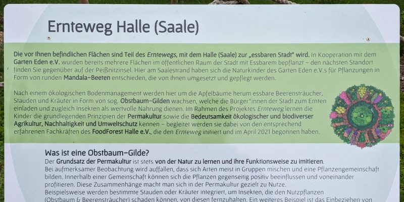 Ernteweg Halle (Saale)