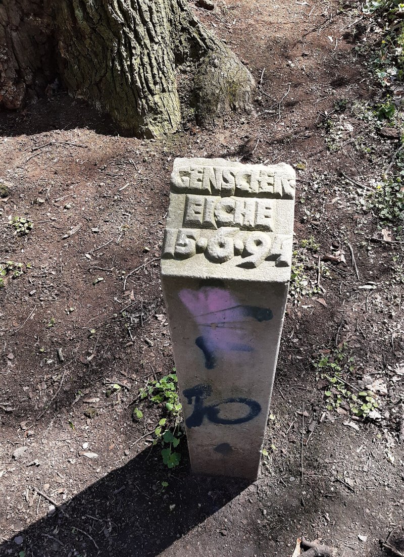 Genschereiche