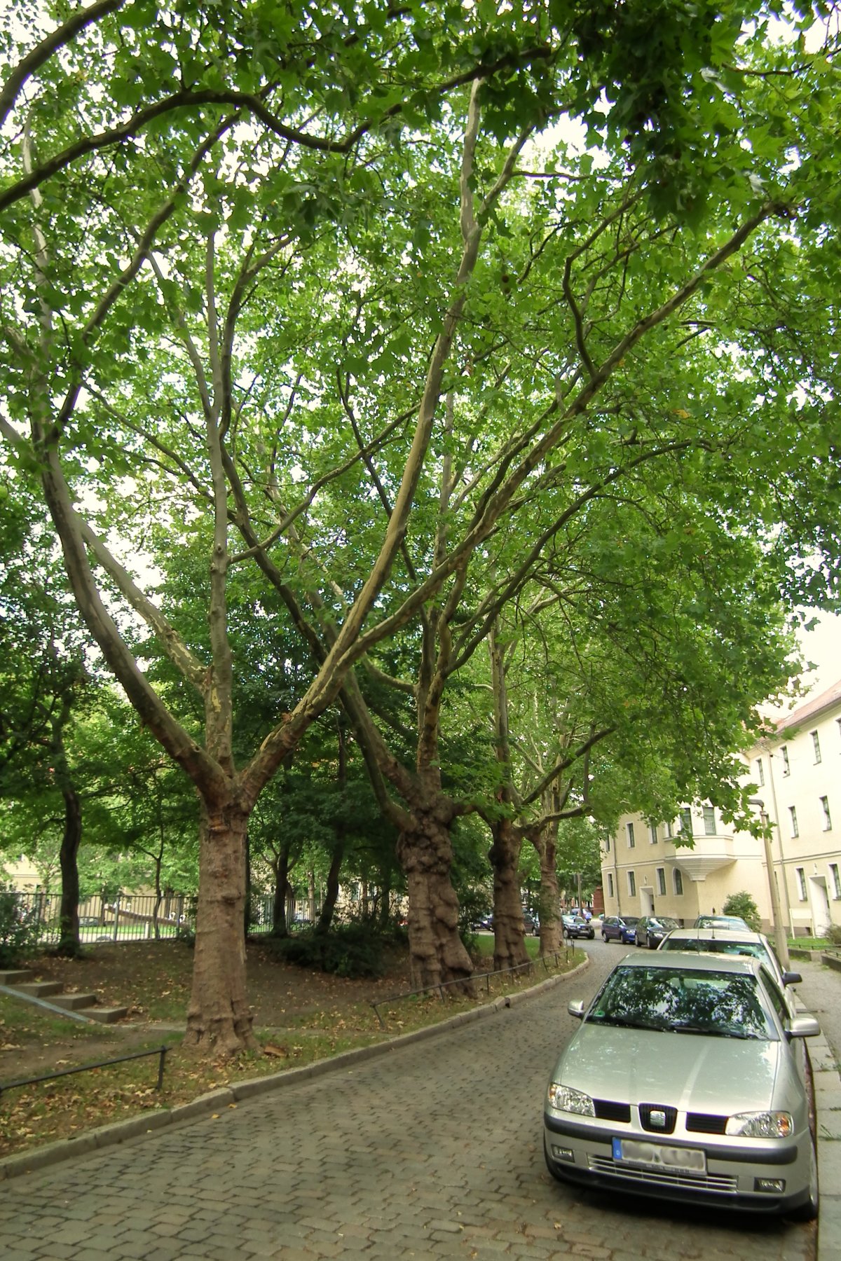 Johannesplatz