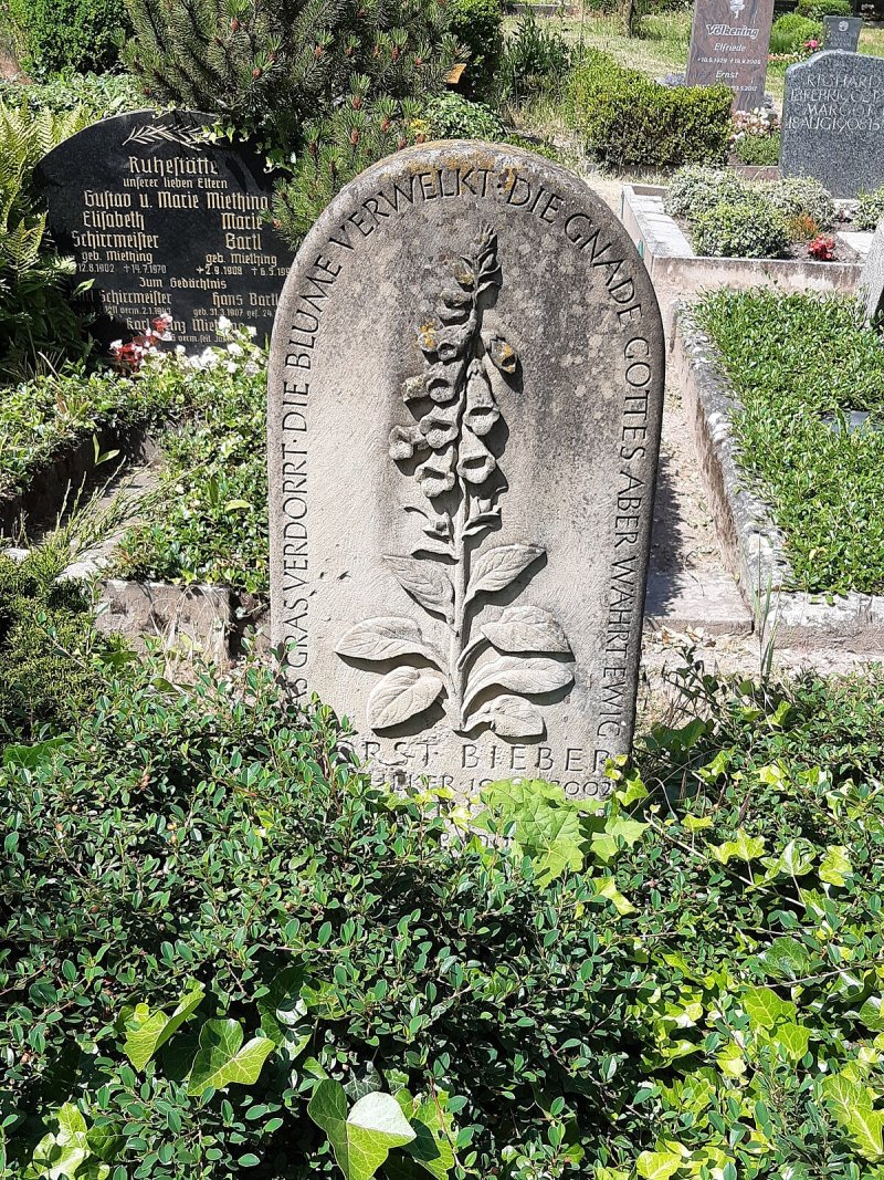 Kirchenruine Granau