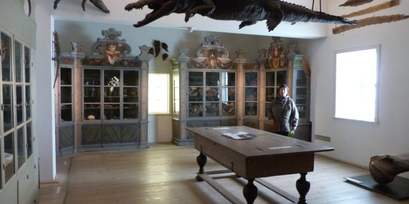 Kunst- und Naturalienkammer