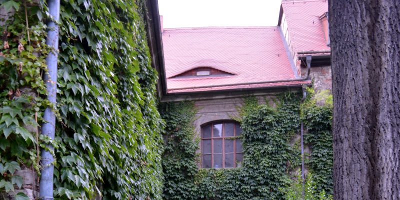 Kunstgarten in der Neuen Residenz