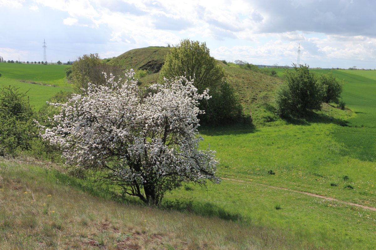 Lunzberge