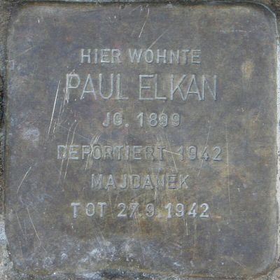 Paul Elkan