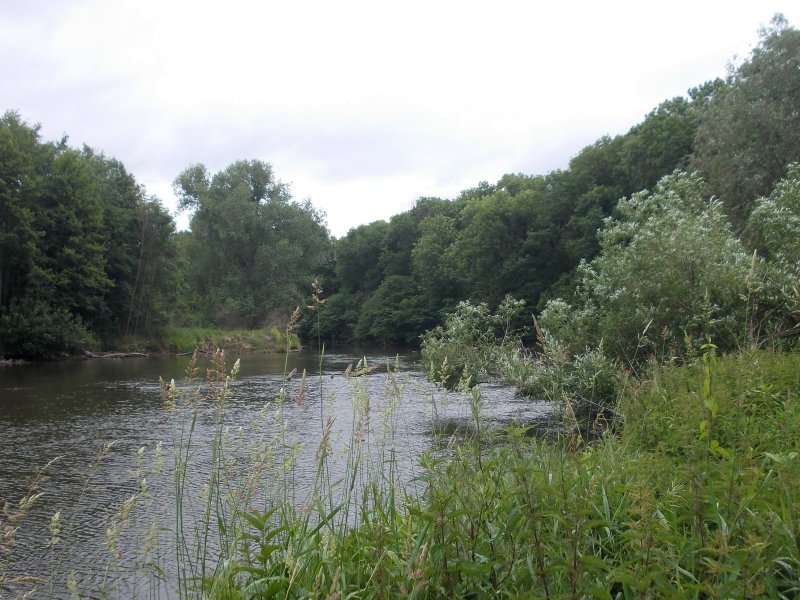 Rabeninsel und Saaleaue bei Böllberg