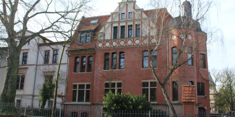 Roter Ochse