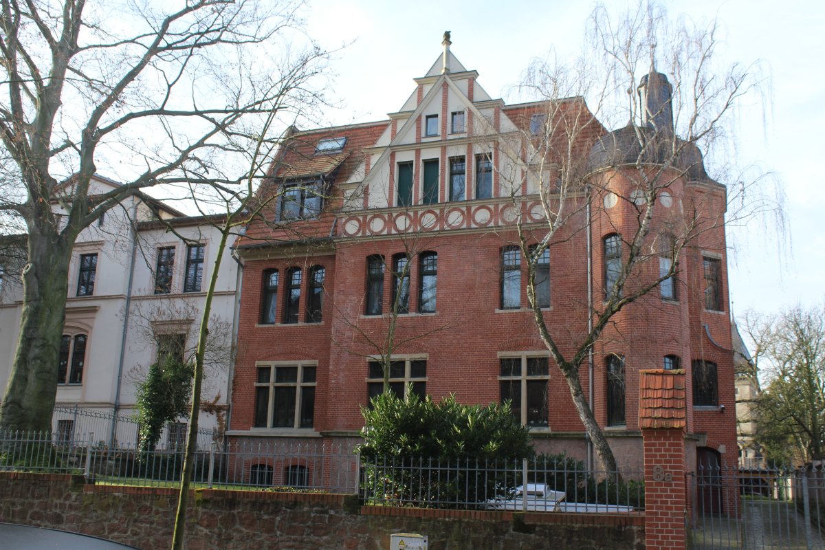 Roter Ochse