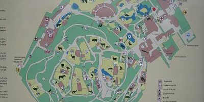 Zoologischer Garten