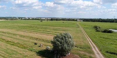 Allermöher Wiesen