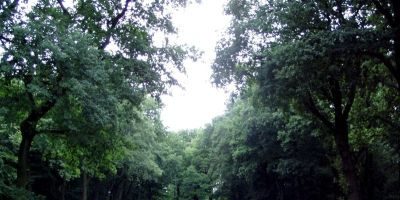 Altonaer Volkspark
