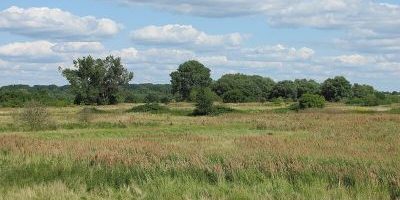 Auenlandschaft Norderelbe