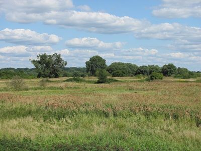 Auenlandschaft Norderelbe
