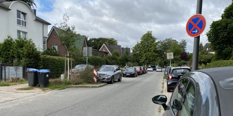 Bei der Lutherbuche