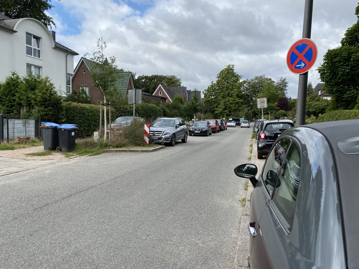 Bei der Lutherbuche