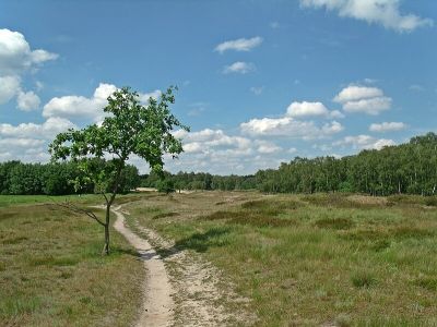 Boberger Niederung