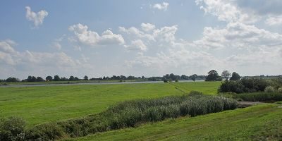 Borghorster Elblandschaft (Ost)