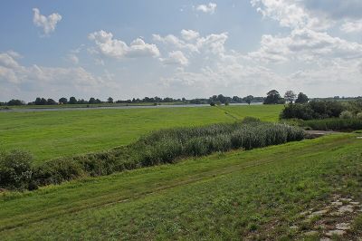Borghorster Elblandschaft (Ost)